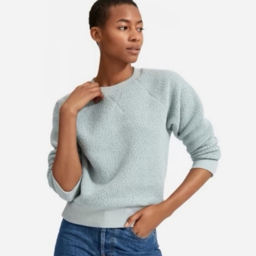 Everlane Sweatshirt Renew Fleece Pale Sage
